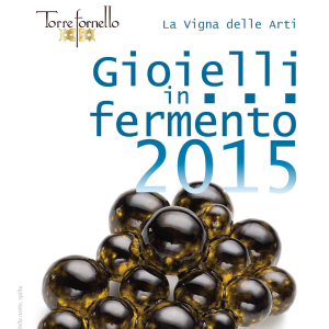 Gioielli in Fermento 2015 In copertina: Corrado De Meo "I colori della notte", spilla, 2015 ph. F.Cavicchioli